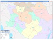 WilliamsburgCounty, SC Wall Map Color Cast Style 2023
