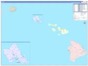 Hawaii Wall Map Color Cast Style 2023