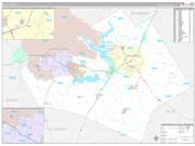 Bell County, TX Wall Map Premium Style 2022