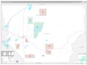 Churchill County, NV Wall Map Premium Style 2022