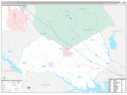 Newberry County, SC Wall Map Premium Style 2023