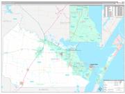 Nueces County, TX Wall Map Premium Style 2022