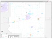 Richland County, IL Wall Map Premium Style 2022