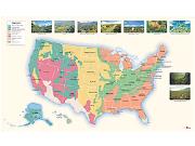 US Vegetation Wall Map