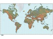 World Relief Wall Map from Map Resources
