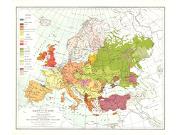 Races of Europe 1918 Wall Map
