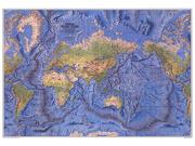 The World Ocean Floor 1981 Wall Map from National Geographic