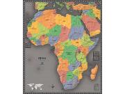 Africa Contemporary Wall Map