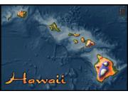 Hawaii Topo Wall Map
