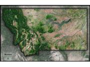 Montana Satellite Wall Map