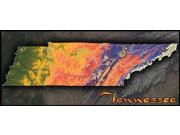 Tennessee Topo Wall Map