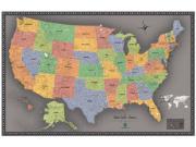 USA Contemporary Wall Map