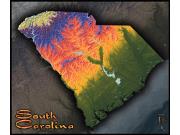 South Carolina Topo Wall Map