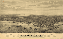 1878 Seattle Antique Wall Map