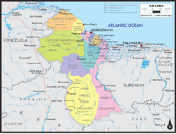 Guyana Political Wall Map