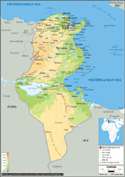 Tunisia Physical Wall Map