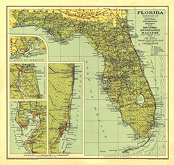 Florida 1930 Wall Map