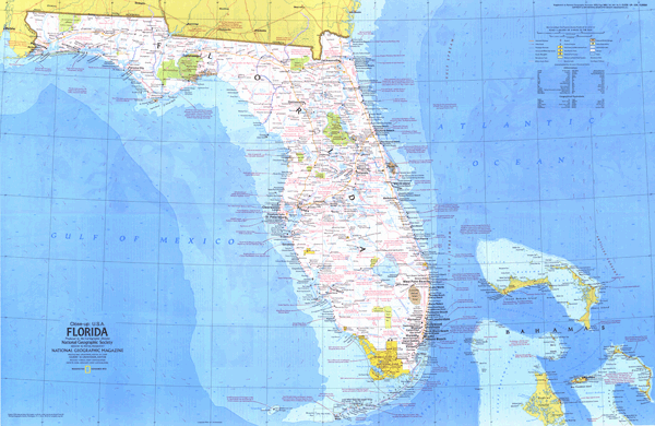 Florida 1973 Wall Map