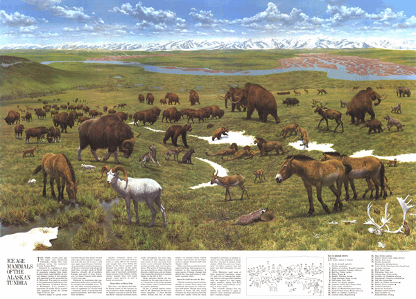 Ice Age Mammals of the Alaskan Tundra 1972 Wall Map