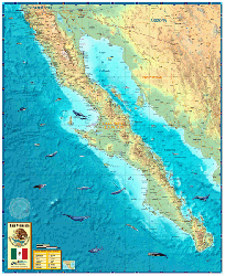 Baja Wall Map