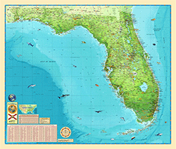 Florida Wall Map