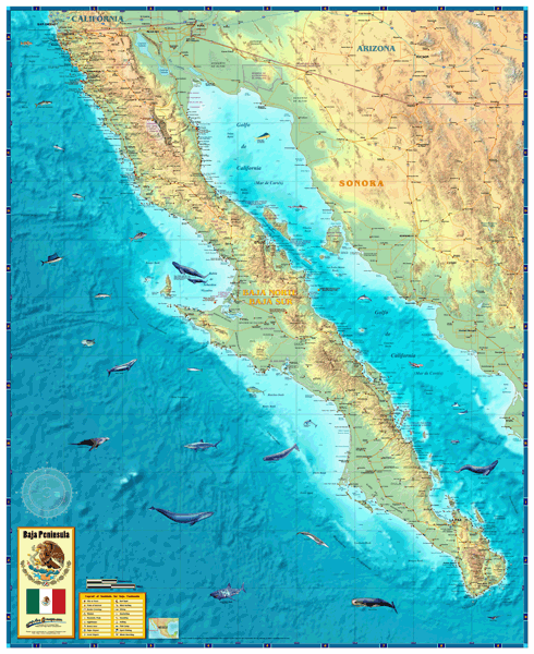 Baja Wall Map