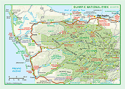 Olympic National Park Wall Map by GeoNova