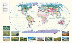 World Vegetation Wall Map GeoNova