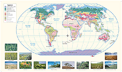 World Vegetation Wall Map