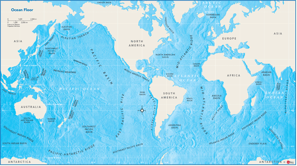 Ocean Floor Wall Map