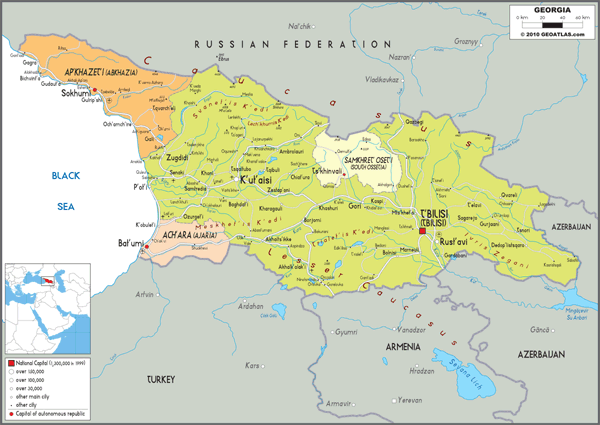 Georgia Political Wall Map