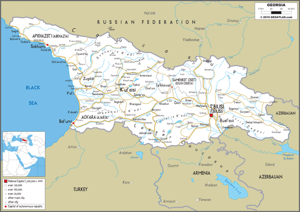 Georgia Road Wall Map