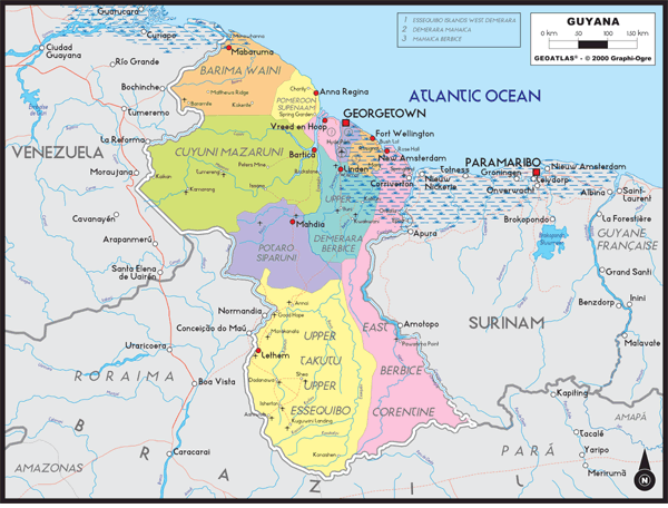 Guyana Political Wall Map
