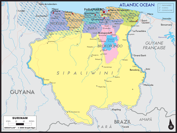 Surinam Political Wall Map