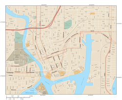 Tampa Downtown Wall Map
