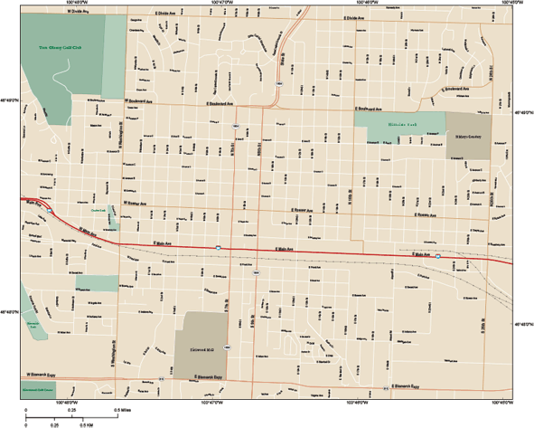 Bismarck Downtown Wall Map