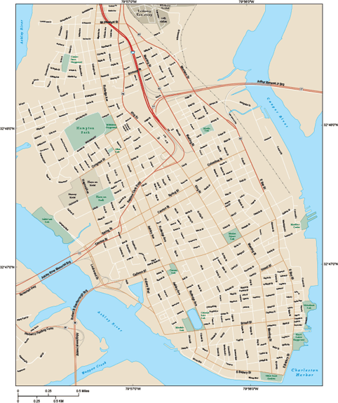 Charleston Downtown Wall Map