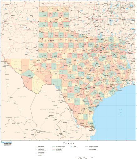 Texas Wall Map with Counties