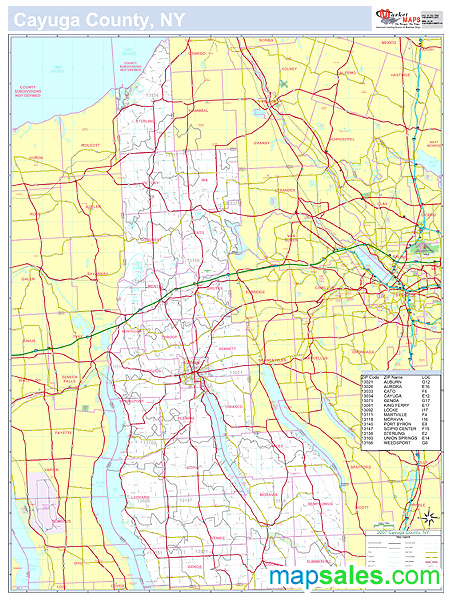 Cayuga, NY County Wall Map