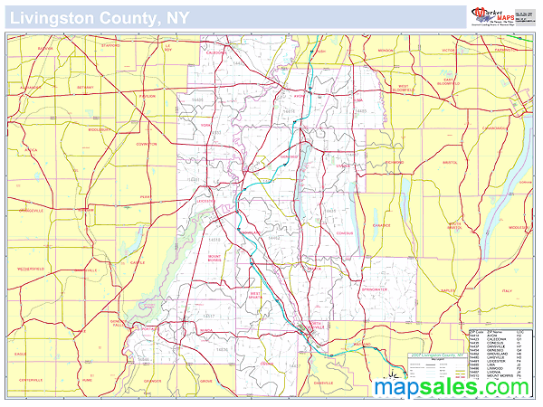 Livingston, NY County Wall Map