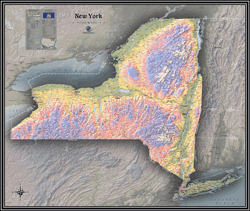 New York Physical Wall Map