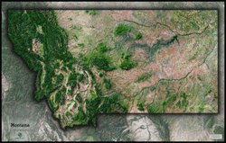 Montana Satellite Wall Map