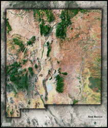 New Mexico Satellite Wall Map