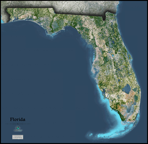 Florida Satellite Wall Map