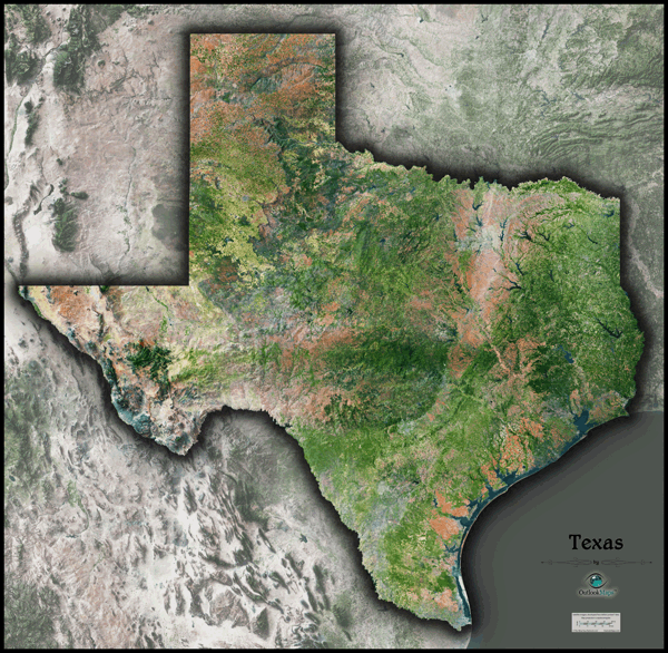 Texas Satellite Wall Map
