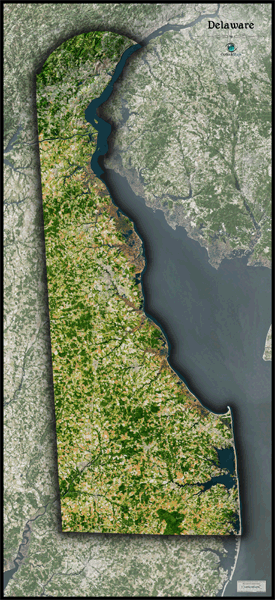 Delaware Satellite Wall Map