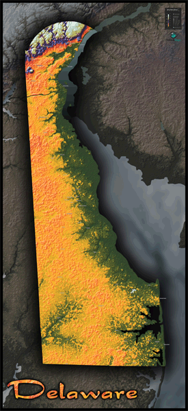 Delaware Topo Wall Map