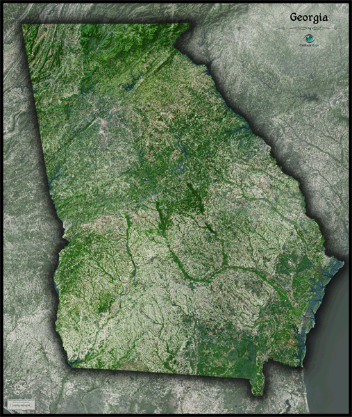 Georgia Satellite Wall Map