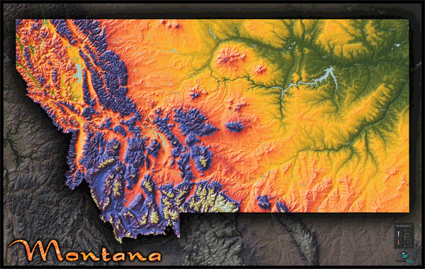 Montana Topo Wall Map