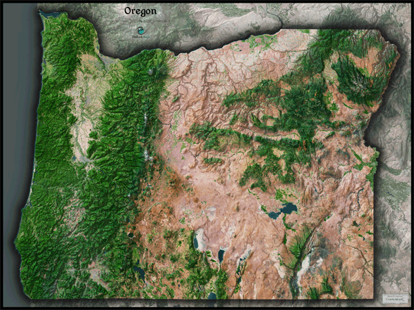 Oregon Satellite Wall Map